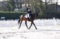 Programme des Stages Février 2026 Chevaux et Poneys !