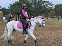 TDA de Fontainebleau novembre 2025